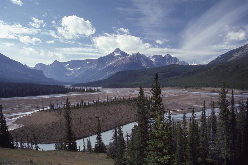 C Rockies 041 Sep-1981.jpg